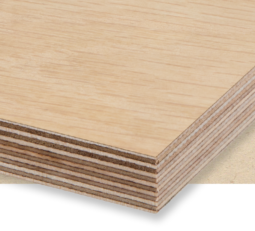 Veneered Birch Plywood