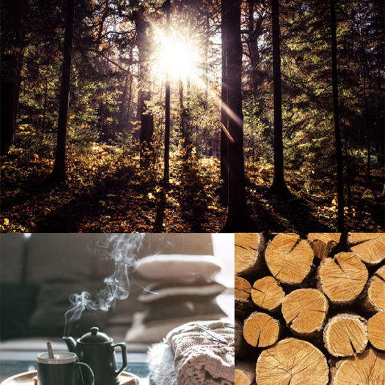 Florán® finest oak collection